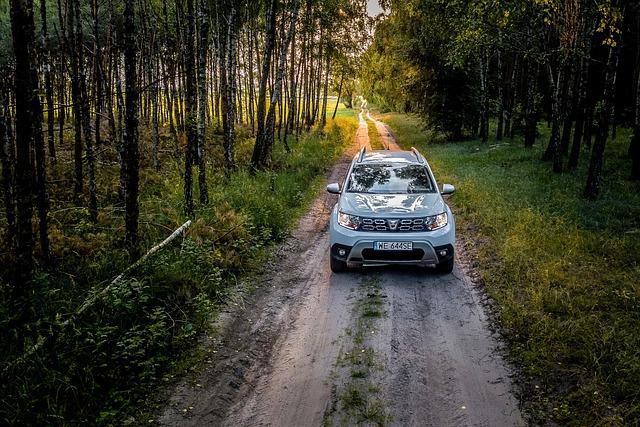 Jak se stát​ Dacia ⁣Ambasadorem - požadavky a kritéria